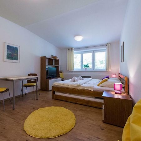 Apartman Lipno 20 ليبنو ناد فلتافو المظهر الخارجي الصورة