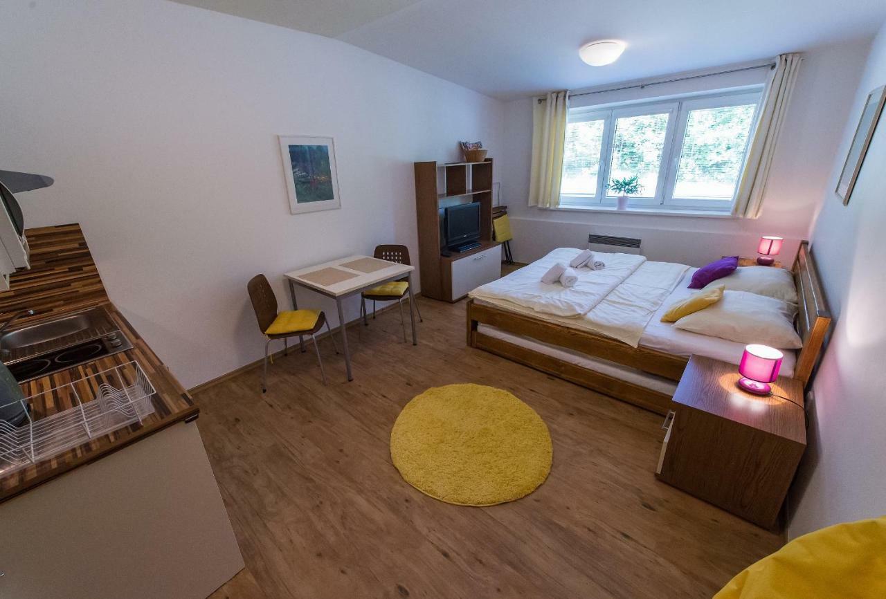 Apartman Lipno 20 ليبنو ناد فلتافو المظهر الخارجي الصورة