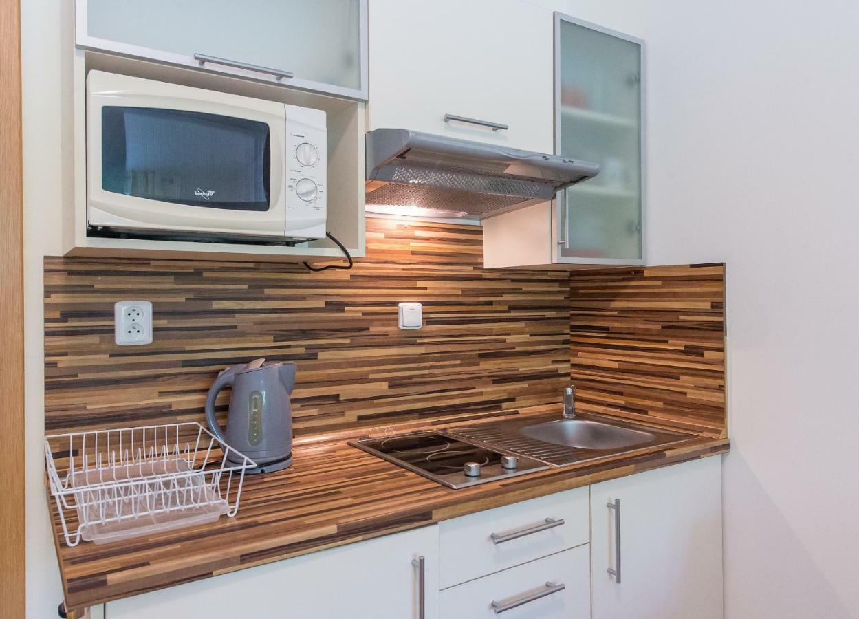 Apartman Lipno 20 ليبنو ناد فلتافو المظهر الخارجي الصورة