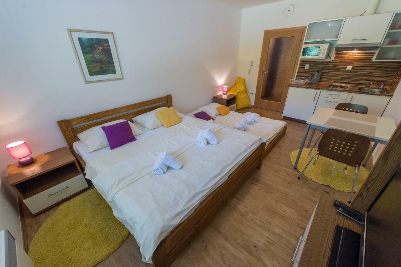 Apartman Lipno 20 ليبنو ناد فلتافو المظهر الخارجي الصورة