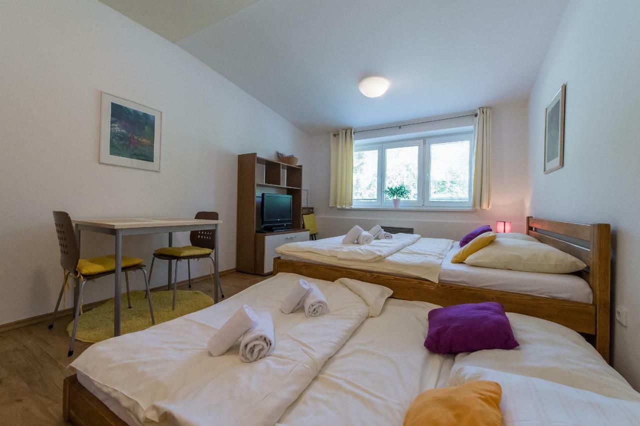 Apartman Lipno 20 ليبنو ناد فلتافو المظهر الخارجي الصورة